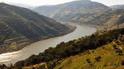 plano-ordenamento-rgua-carrapatelo-eduardo-lages