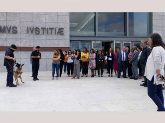 int difusos 04-10-2019